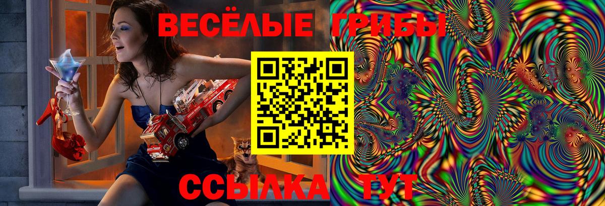 Галлюциногенные грибы Psilocybe Рузаевка