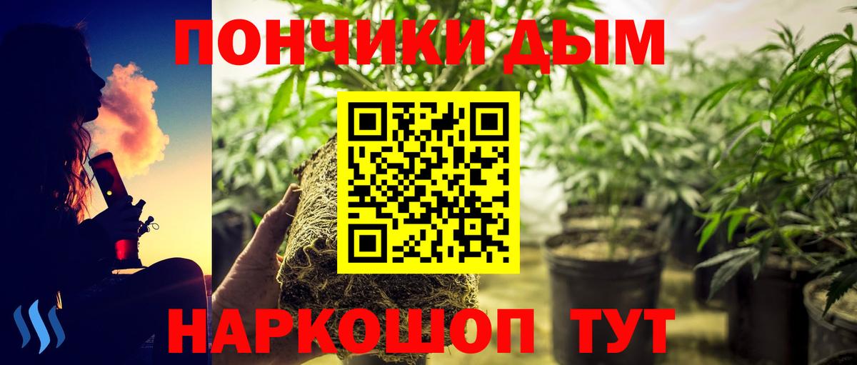 Каннабис сатива Рузаевка